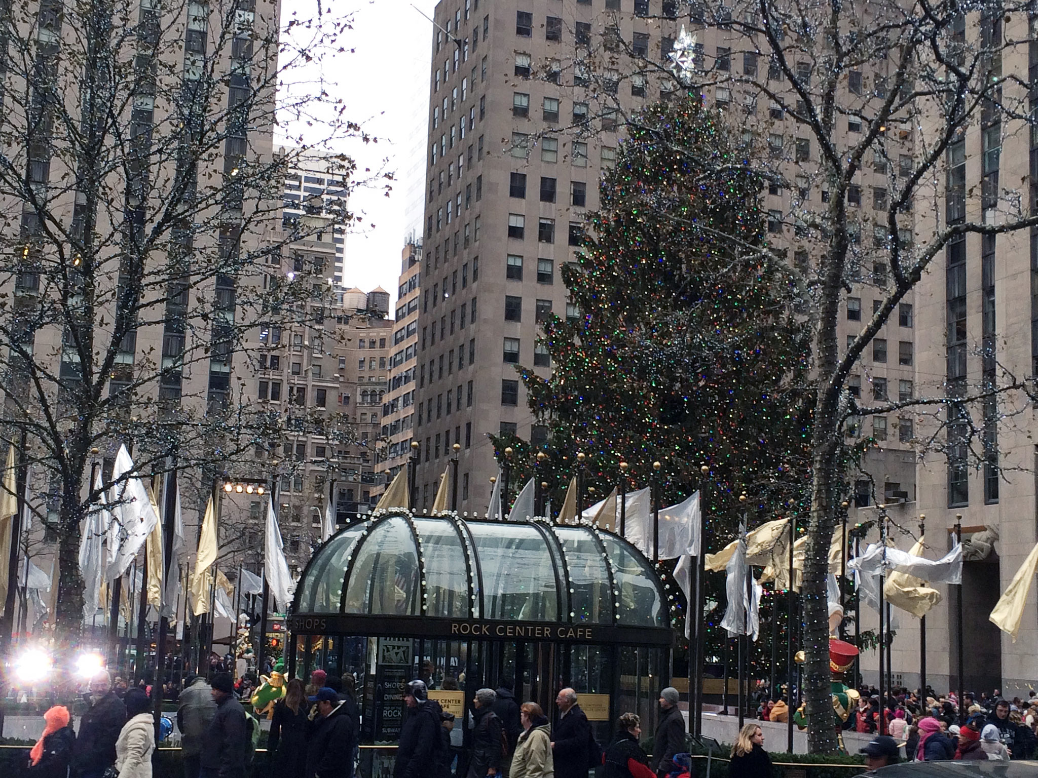 Rockefeller Tree in New York