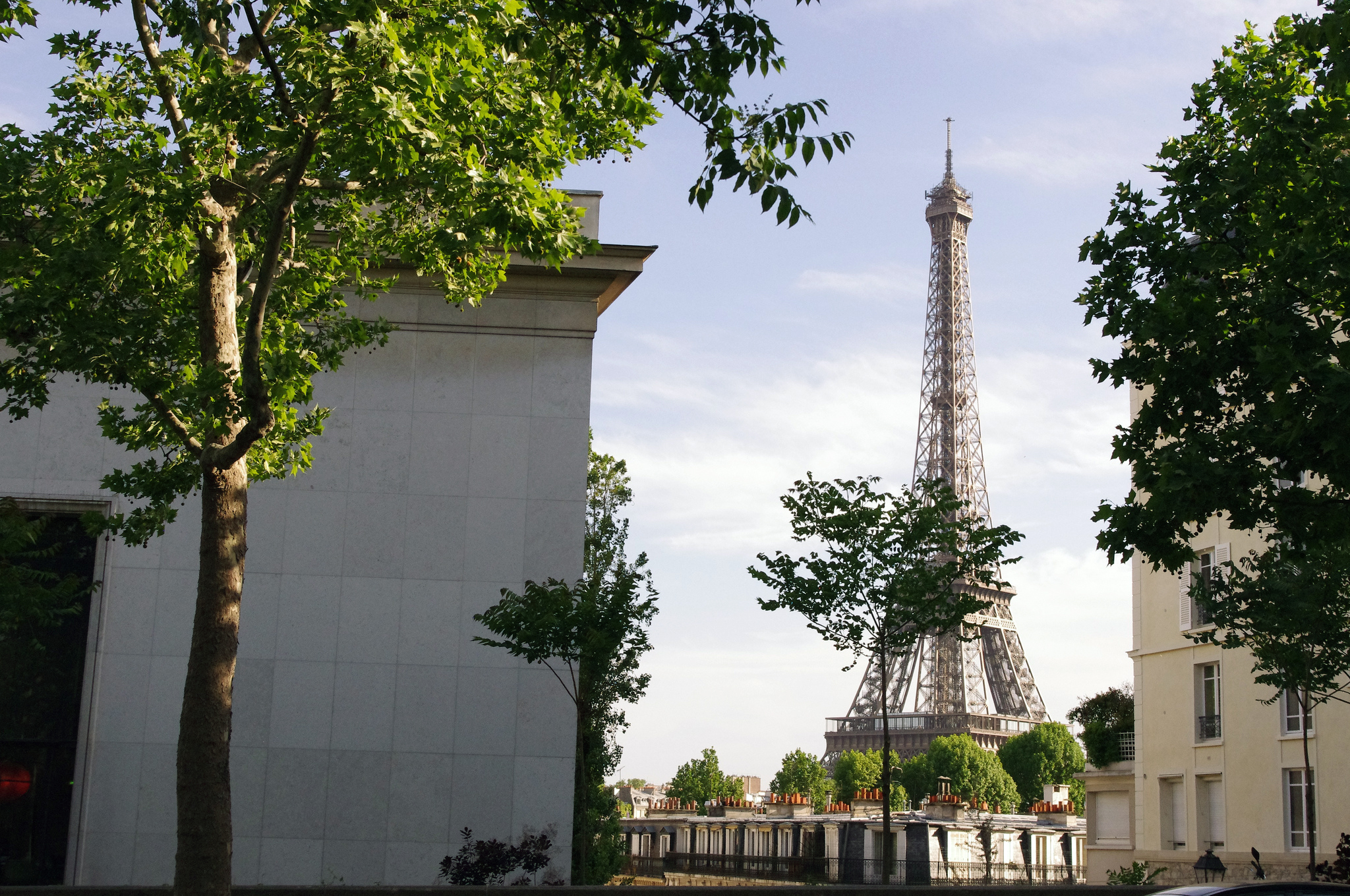 Eiffel Tower in Paris. 