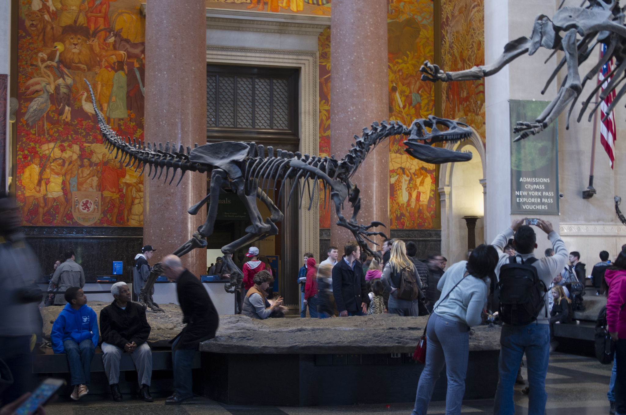 Dinosaur skeletons at American Museum Natural History. Photo by alphacityguides.