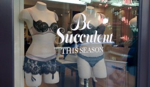 Lingerie display at Journelle in New York. Photo by alphacityguides.