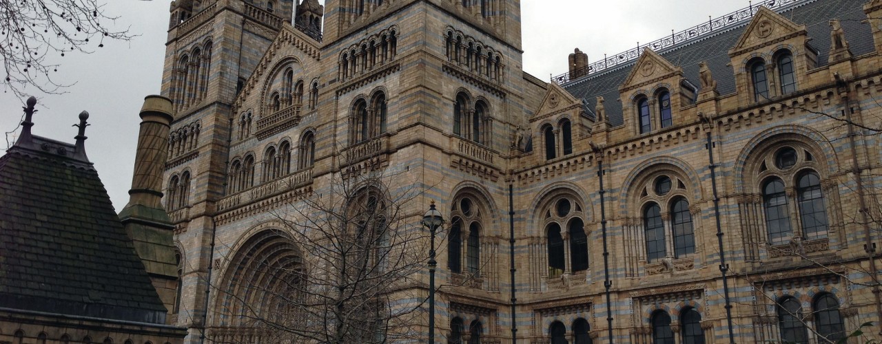 Natural History Museum in London. Photo by alphacityguides.