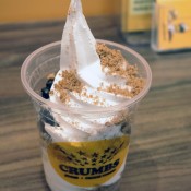 Crumbs frozen yogurt with blueberries and graham crackers in Hong Kong. Photo by alphacityguides.